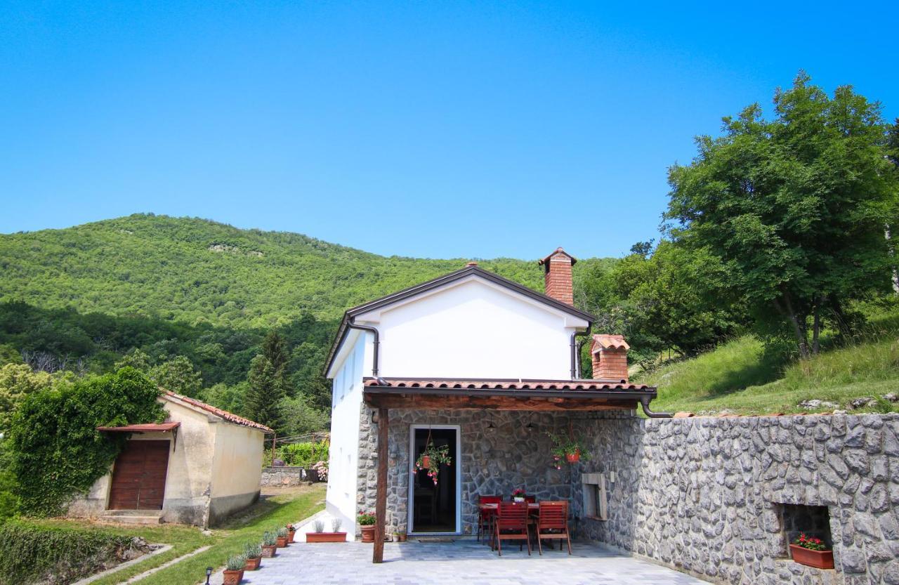 Guest House 'Villa Fani' Veprinac With Jacuzzi Екстер'єр фото