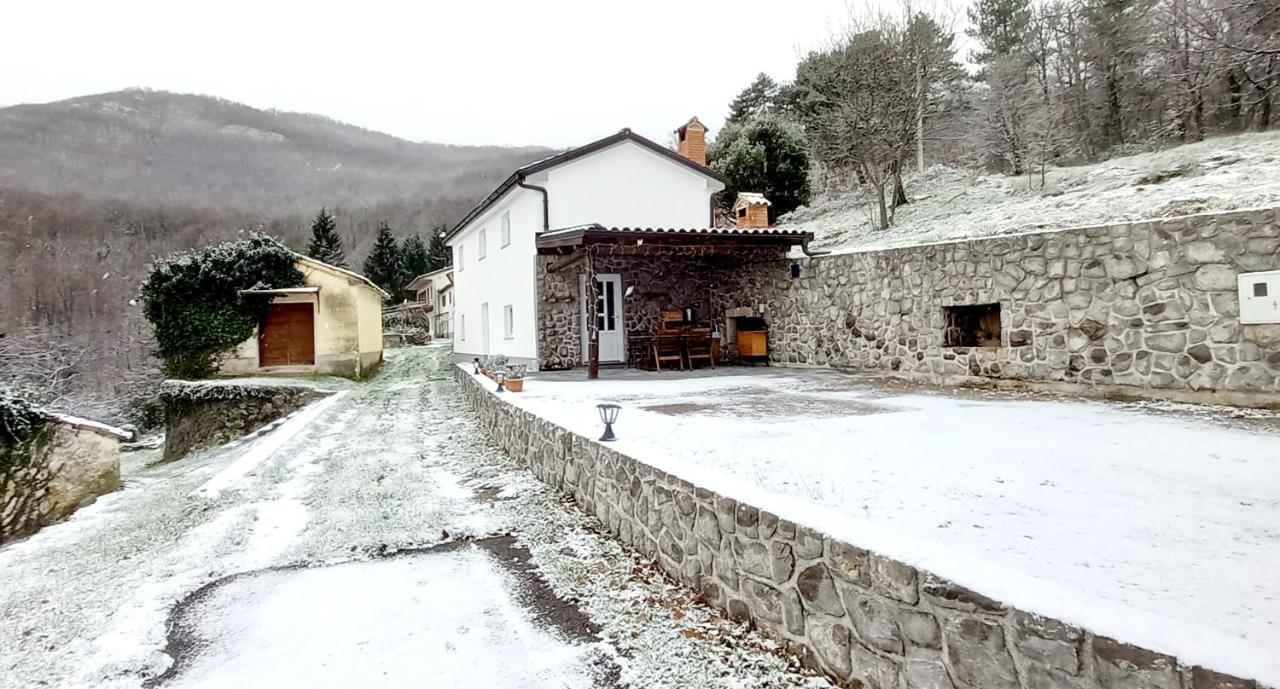 Guest House 'Villa Fani' Veprinac With Jacuzzi Екстер'єр фото