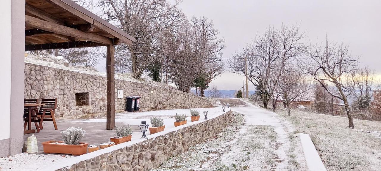 Guest House 'Villa Fani' Veprinac With Jacuzzi Екстер'єр фото